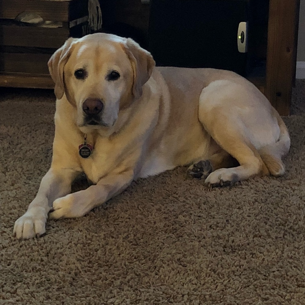 Meet your Posher, Jennifer